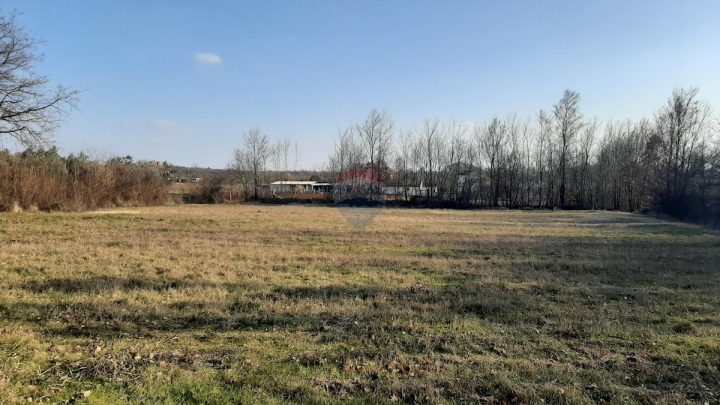Grundstück zu verkaufen 3723 m² – Kringa