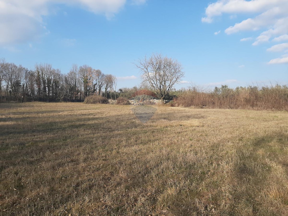 Parcela Naprodaj - ISTARSKA  Tinjan