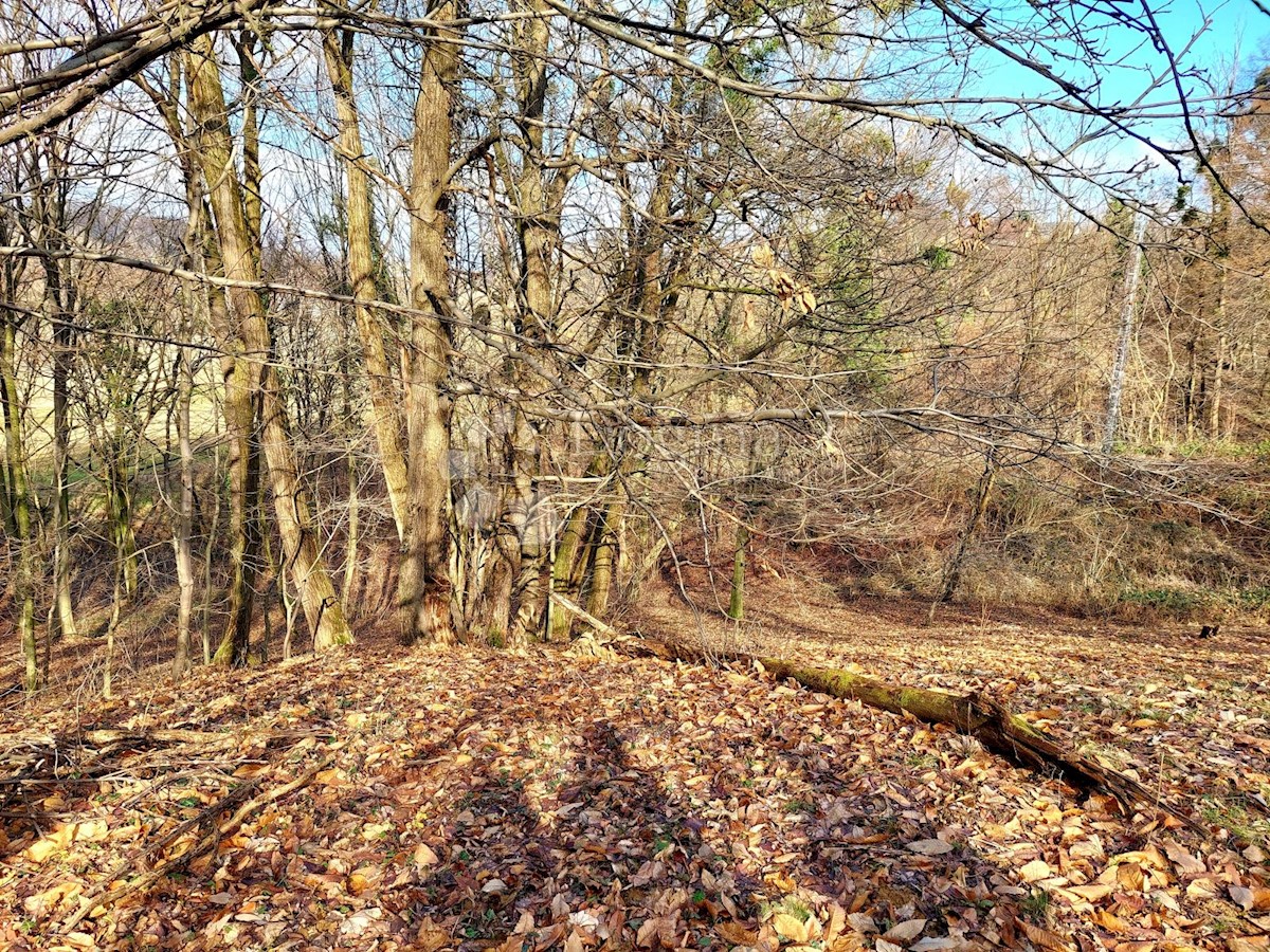 Grundstück Zu verkaufen - Varaždinska Gornji Kneginec - foto 2/6
