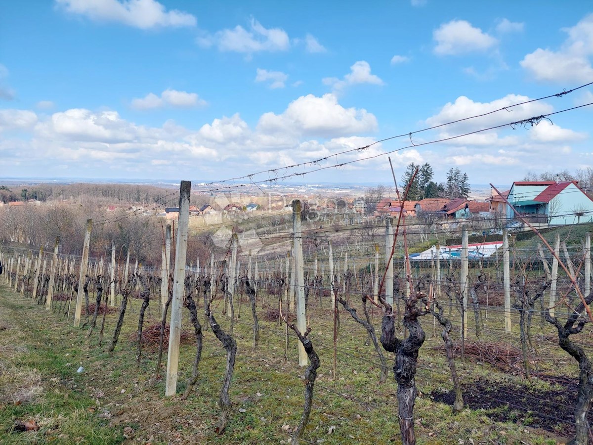 Grundstück Zu verkaufen - Varaždinska Gornji Kneginec - foto 3/6