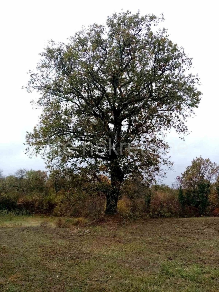 Pozemok Na predaj - ISTARSKA  KRŠAN 