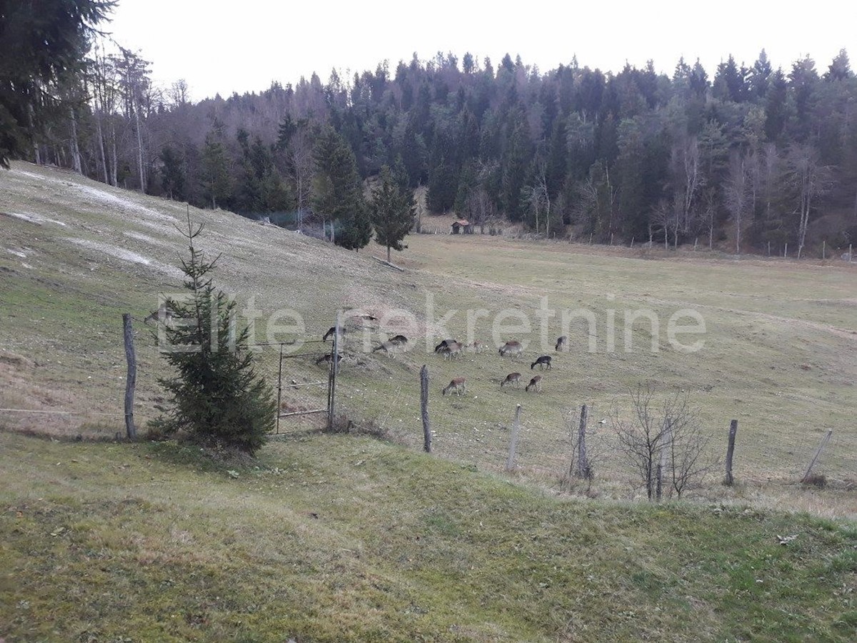 Haus Zu verkaufen - PRIMORSKO-GORANSKA  ČABAR 