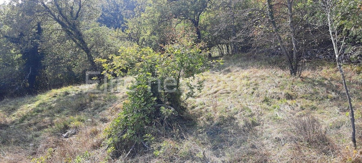 Land For sale PODRVANJ