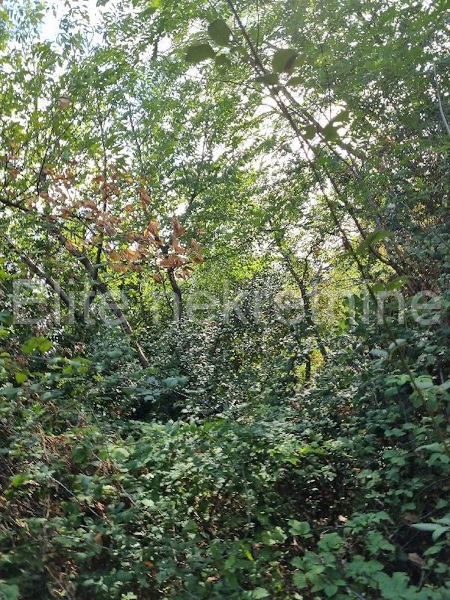 Land For sale - PRIMORSKO-GORANSKA  OPATIJA 