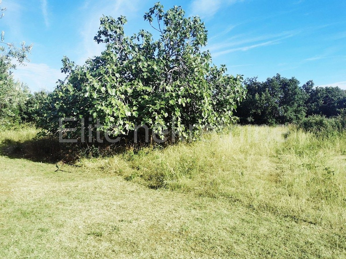 Land For sale - ISTARSKA  MARČANA 