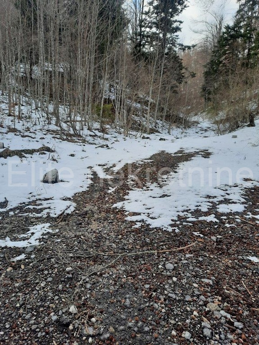 Terreno In vendita GEROVO