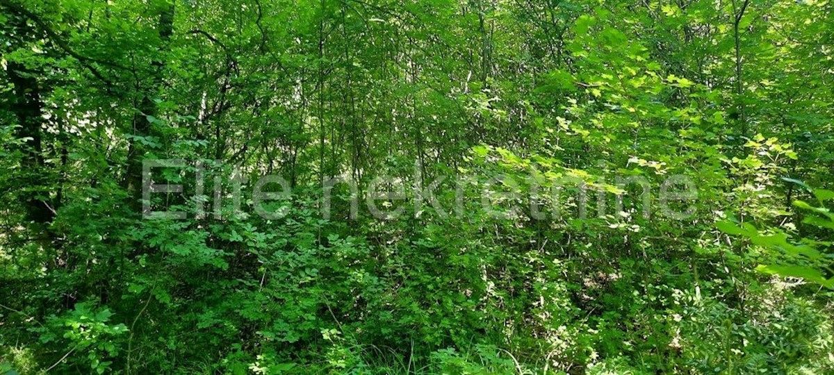 Land For sale - PRIMORSKO-GORANSKA  KOSTRENA 