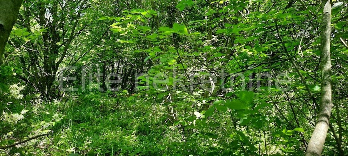 Land For sale - PRIMORSKO-GORANSKA  KOSTRENA 