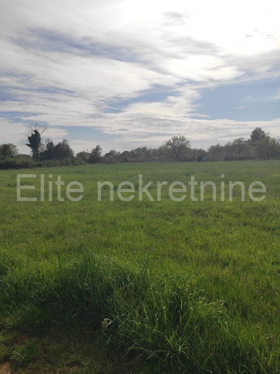 Land For sale - ISTARSKA  LIŽNJAN 