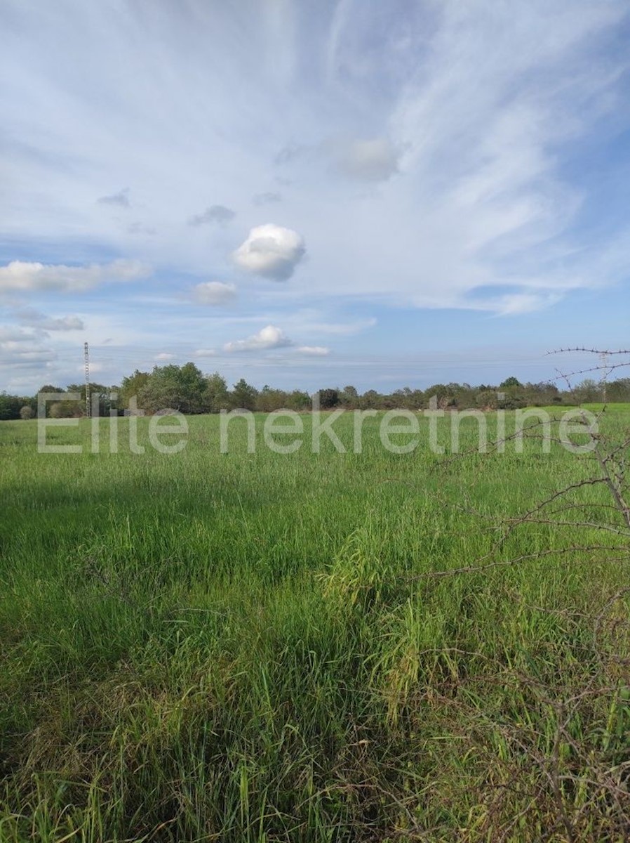 Land For sale - ISTARSKA  LIŽNJAN 