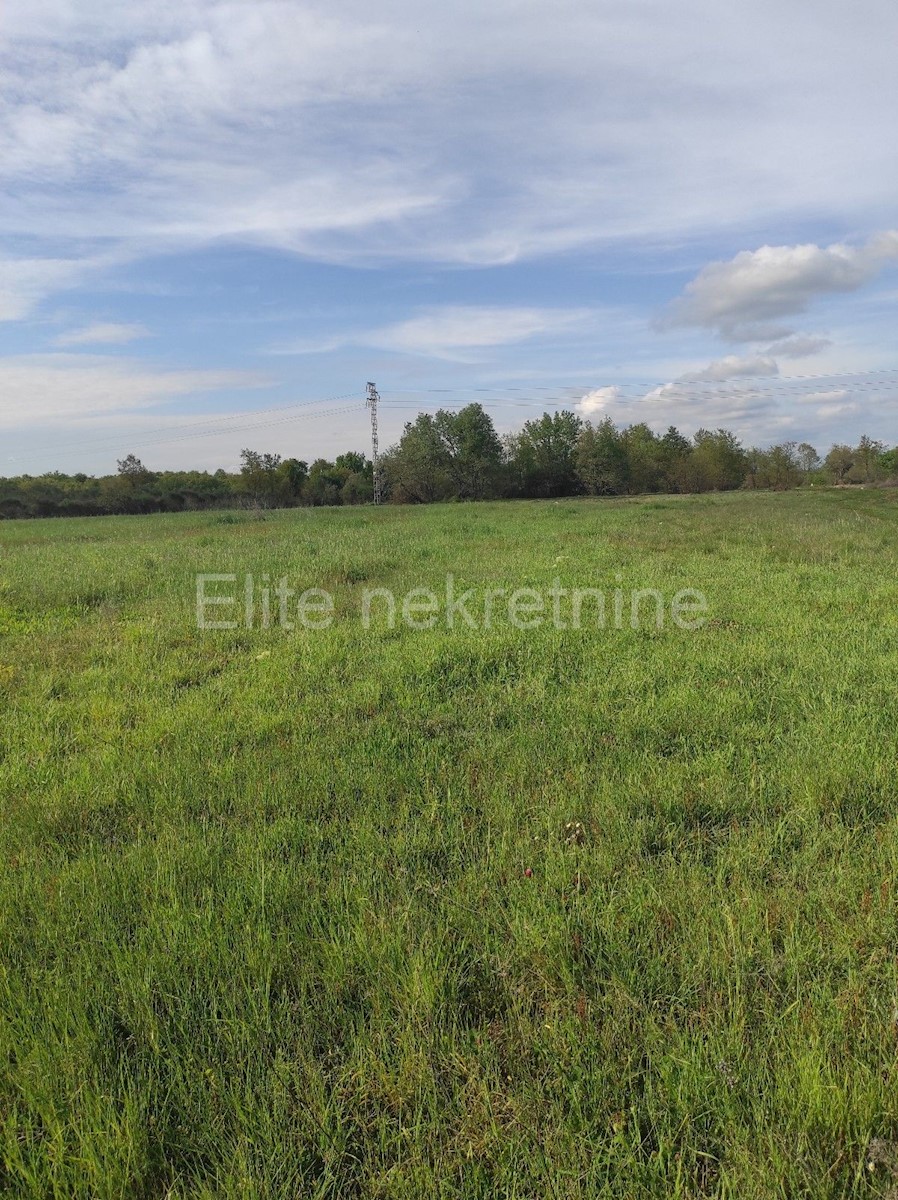 Land For sale - ISTARSKA  LIŽNJAN 