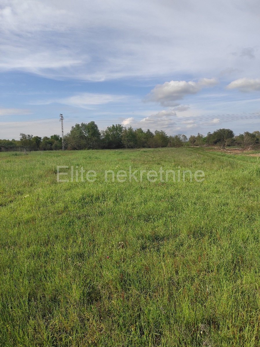 Land For sale - ISTARSKA  LIŽNJAN 