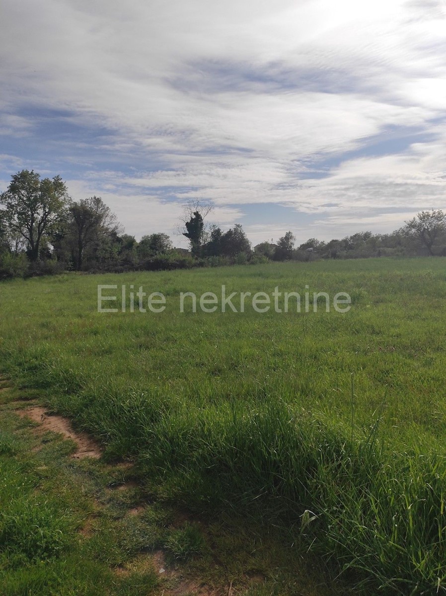 Land For sale - ISTARSKA  LIŽNJAN 