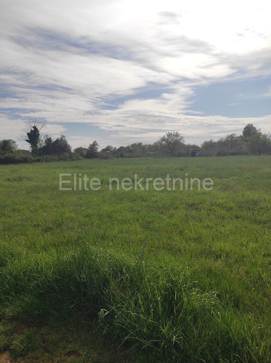 Land For sale - ISTARSKA  LIŽNJAN 