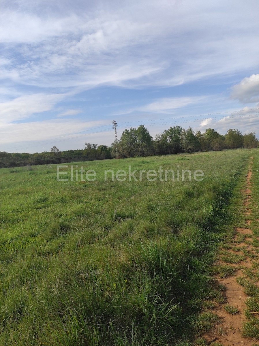 Land For sale - ISTARSKA  LIŽNJAN 