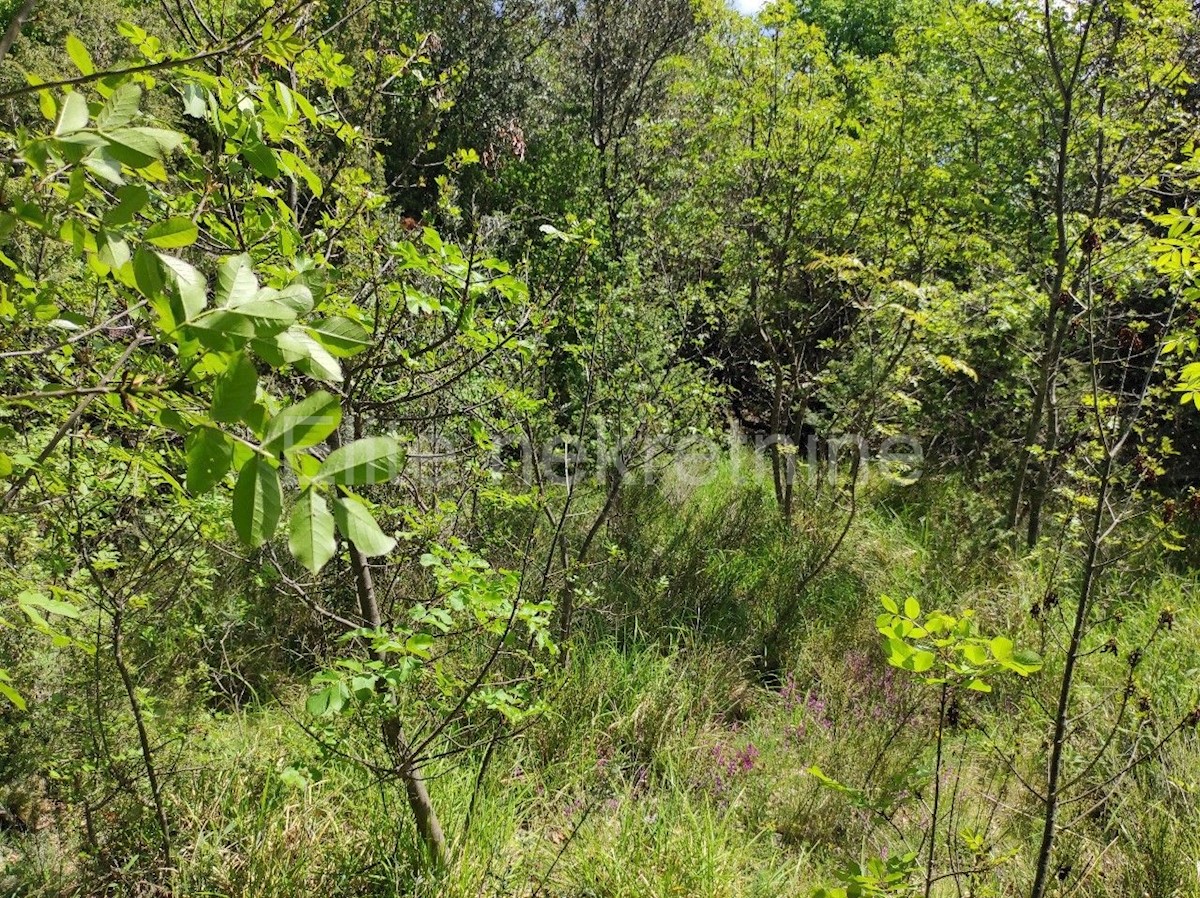 Pozemek Na prodej - ISTARSKA  MARČANA 