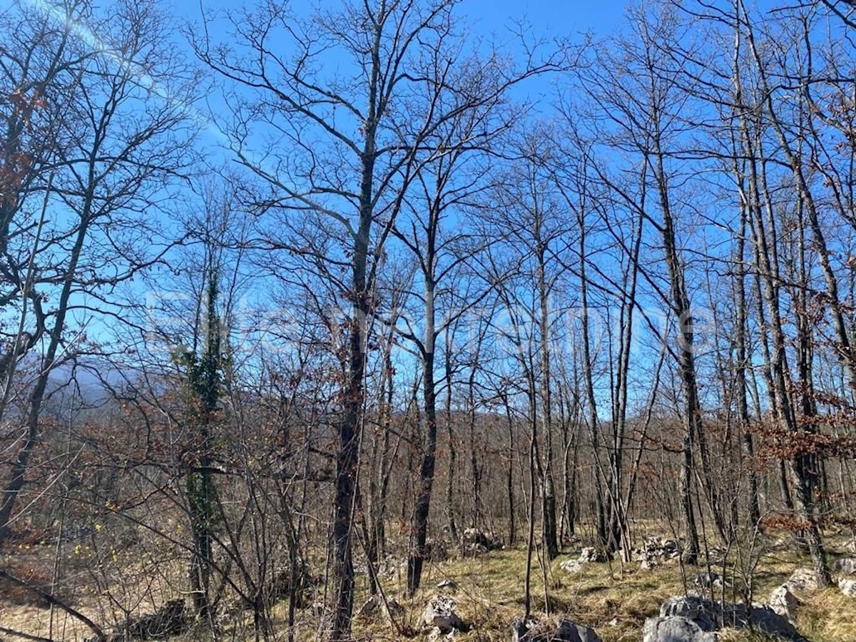 Kuća Na prodaju - PRIMORSKO-GORANSKA  MATULJI 