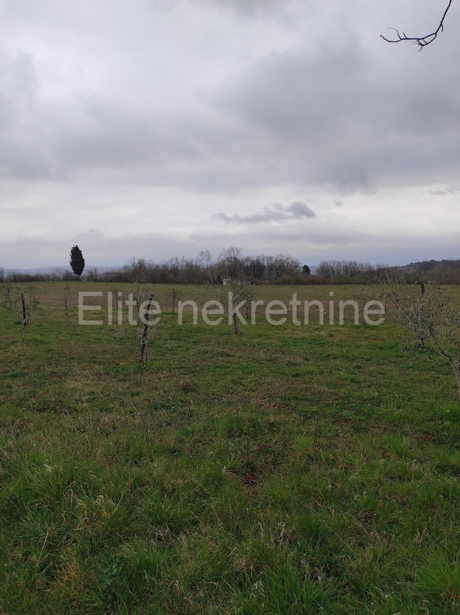 Terreno In vendita - ISTARSKA  BARBAN 