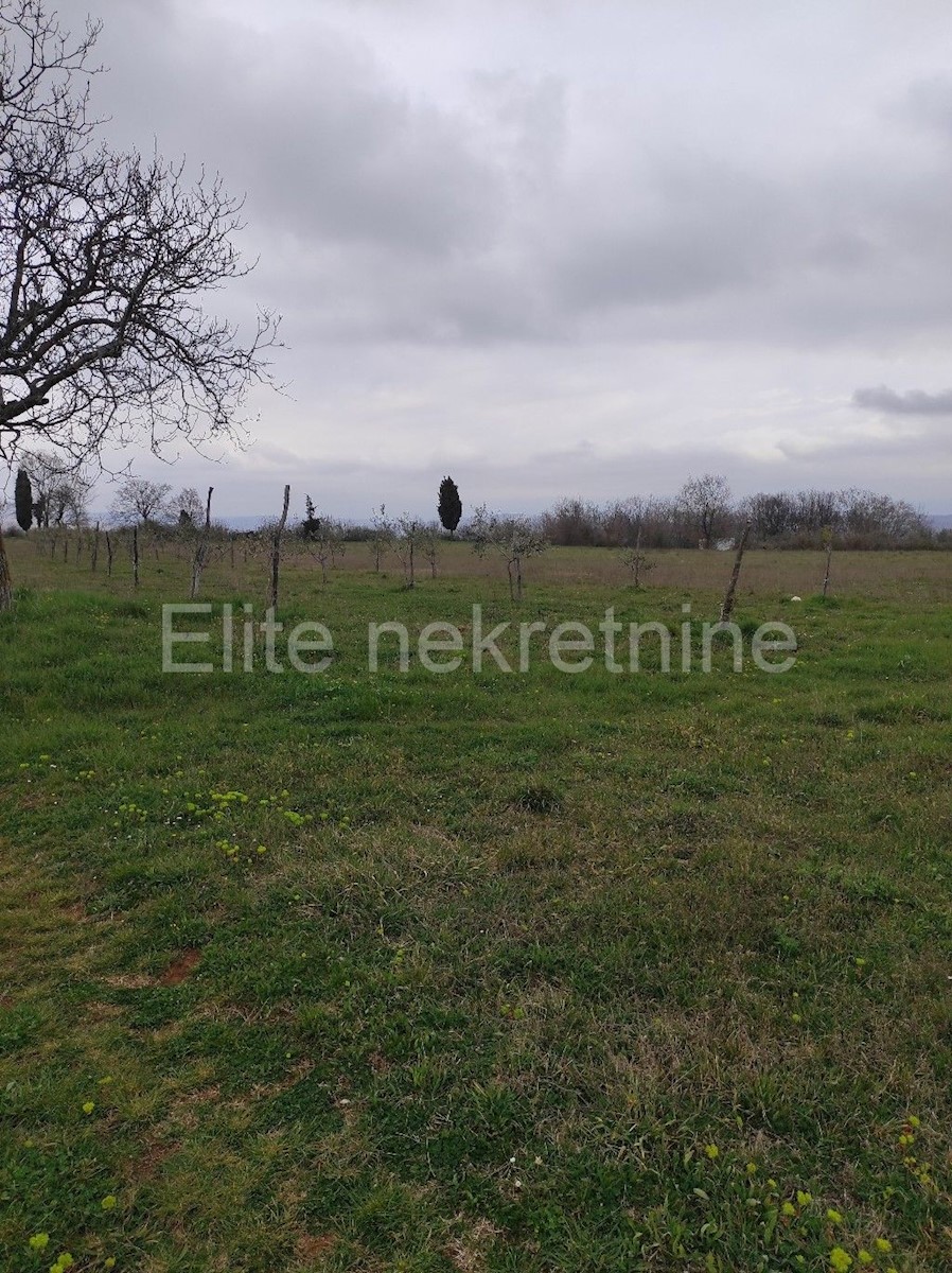 Terreno In vendita - ISTARSKA  BARBAN 