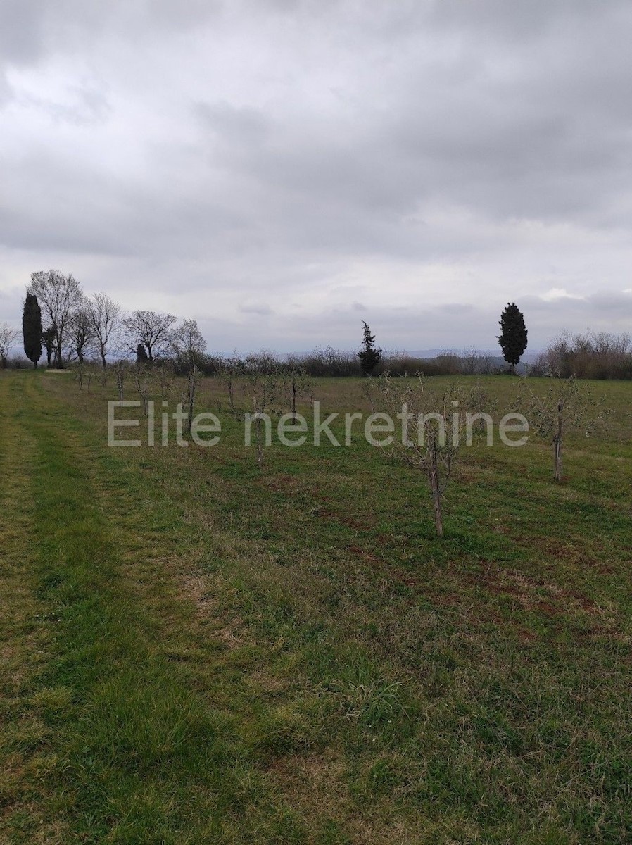 Terreno In vendita - ISTARSKA  BARBAN 