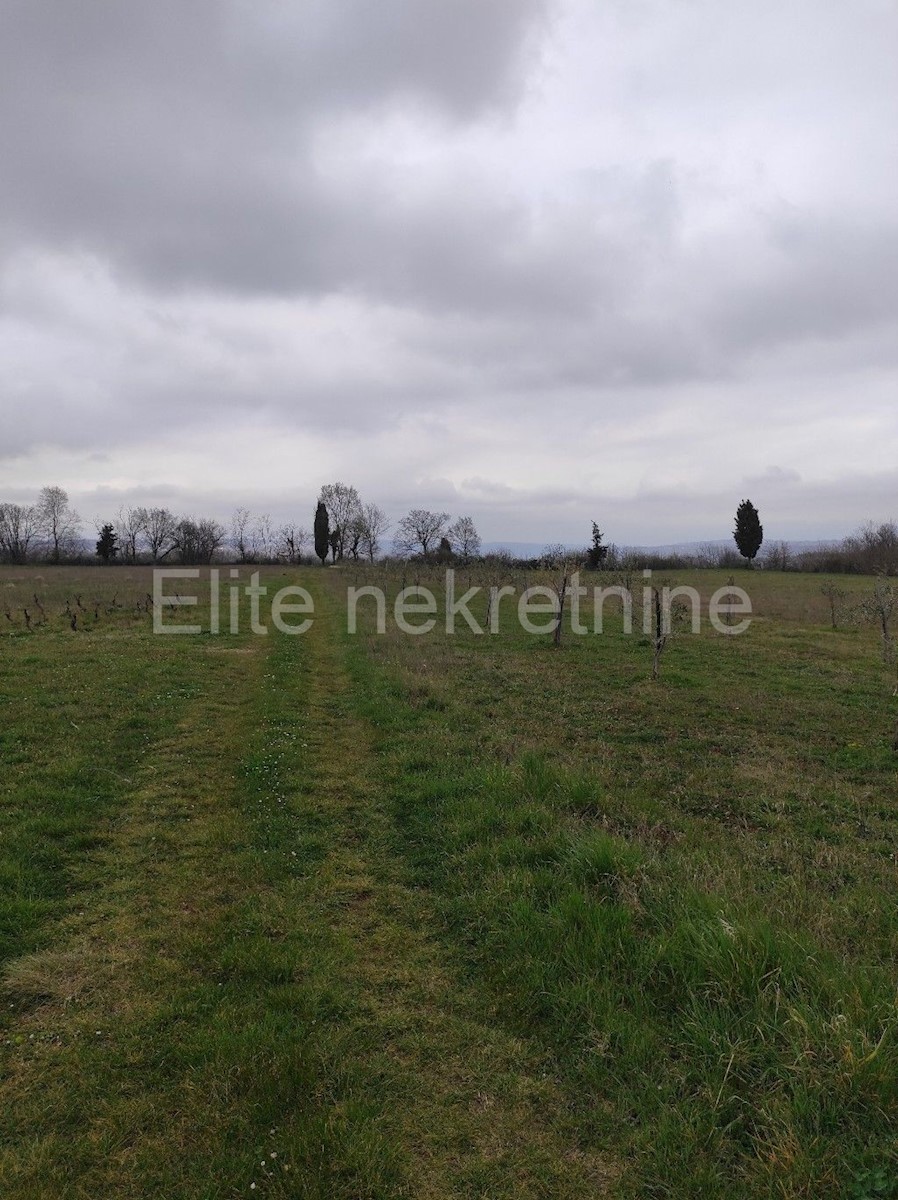 Terreno In vendita - ISTARSKA  BARBAN 