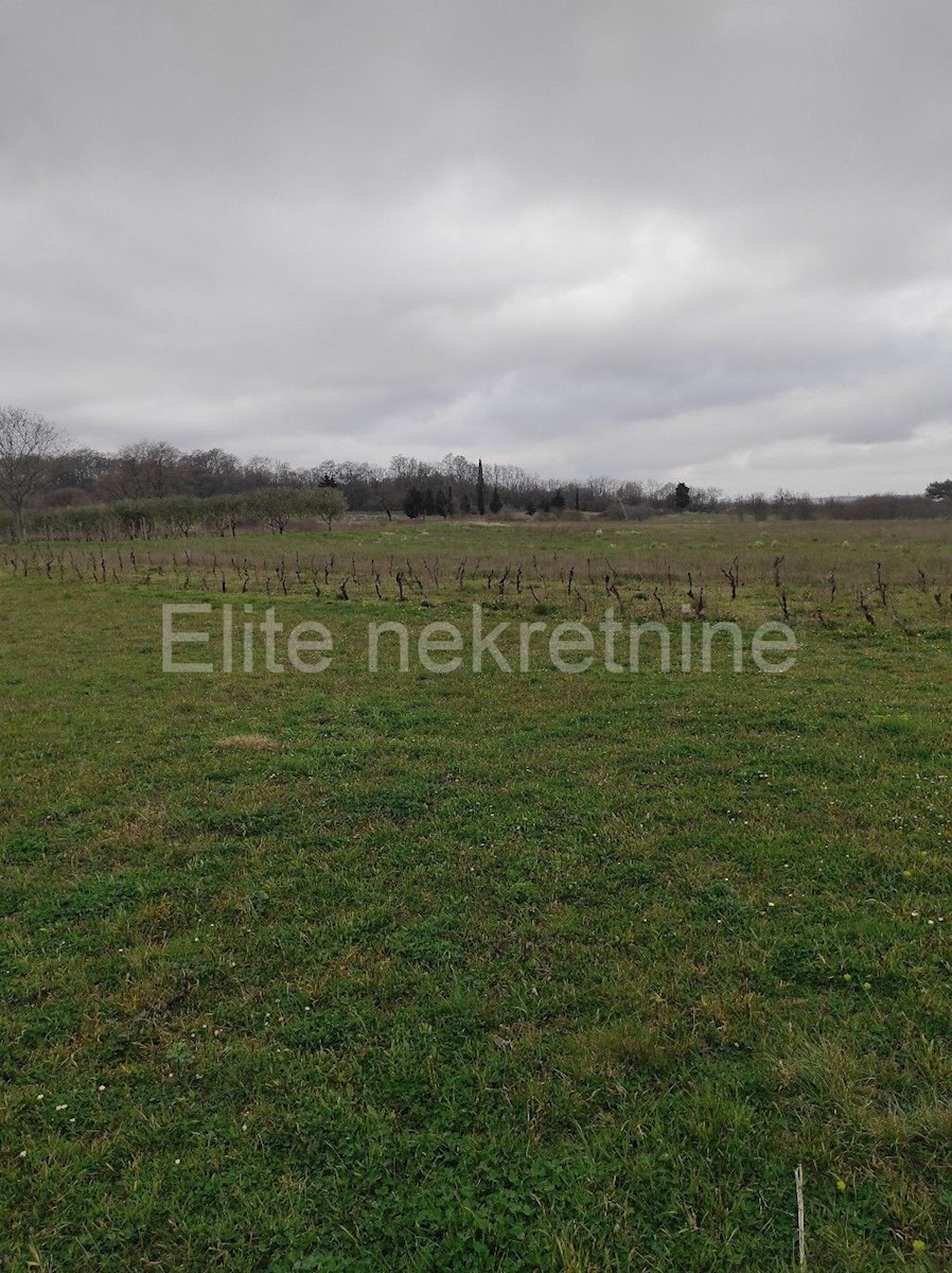 Terreno In vendita - ISTARSKA  BARBAN 