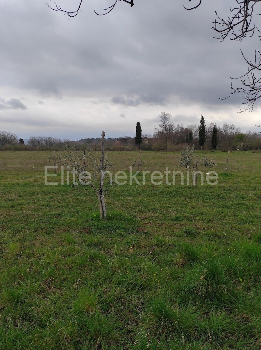 Terreno In vendita - ISTARSKA  BARBAN 