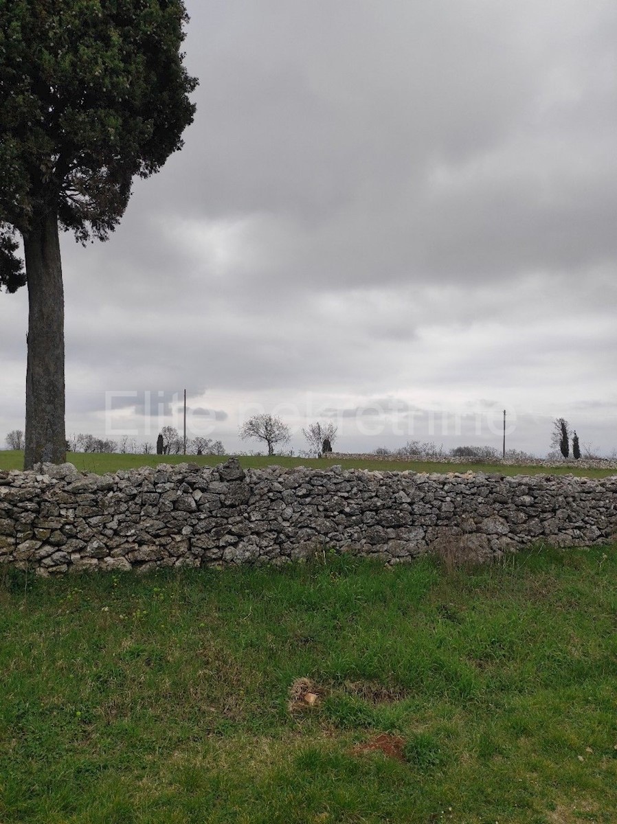 Terreno In vendita - ISTARSKA  BARBAN 