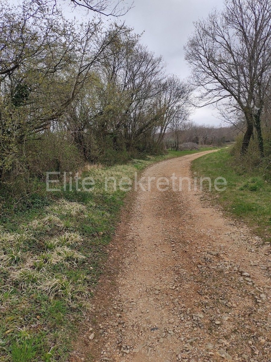 Terreno In vendita - ISTARSKA  BARBAN 