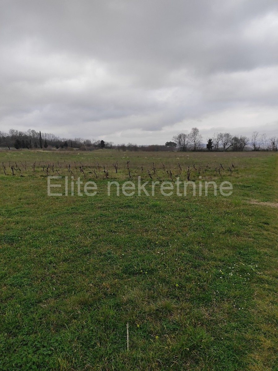 Terreno In vendita - ISTARSKA  BARBAN 