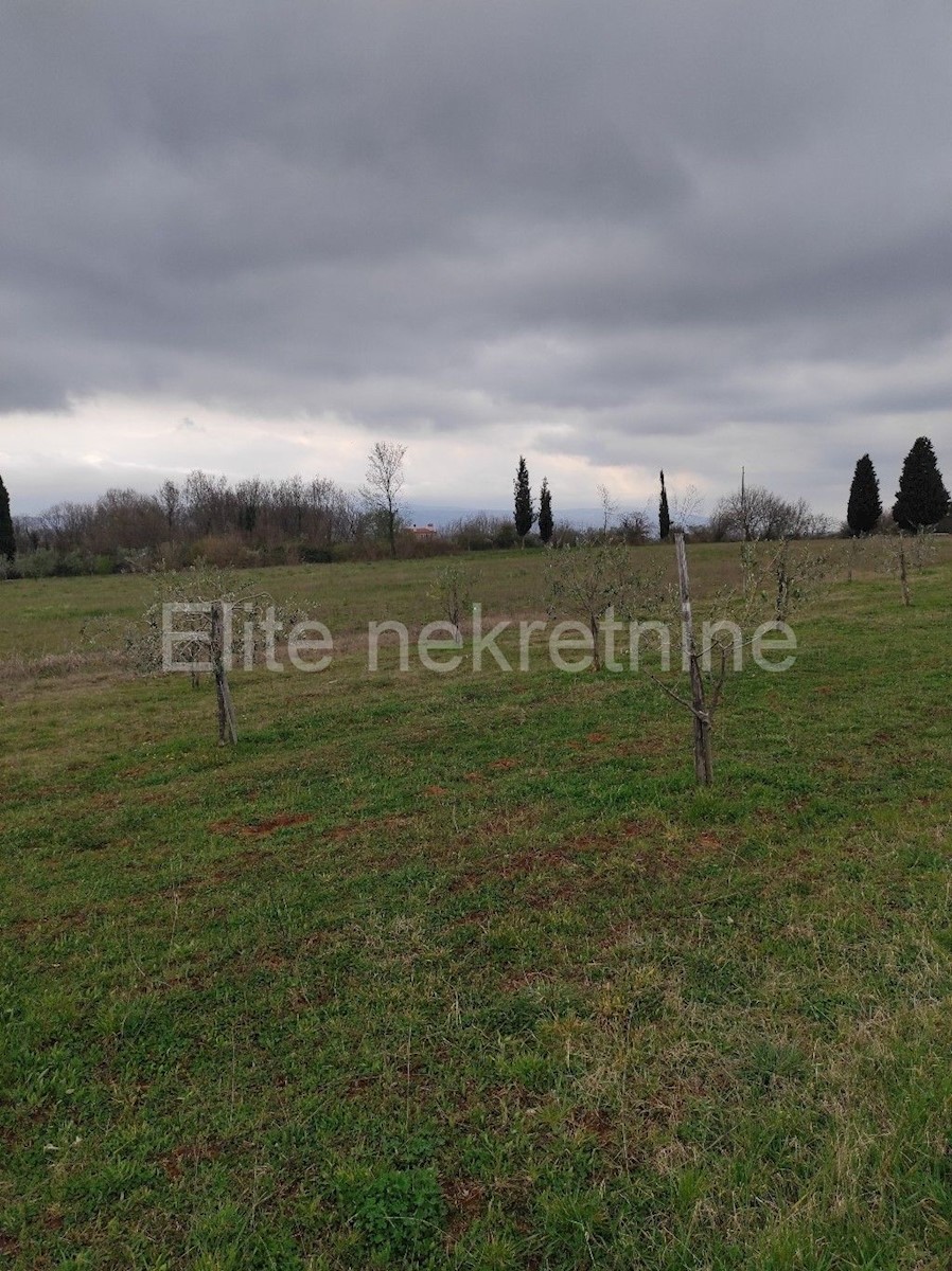 Terreno In vendita - ISTARSKA  BARBAN 