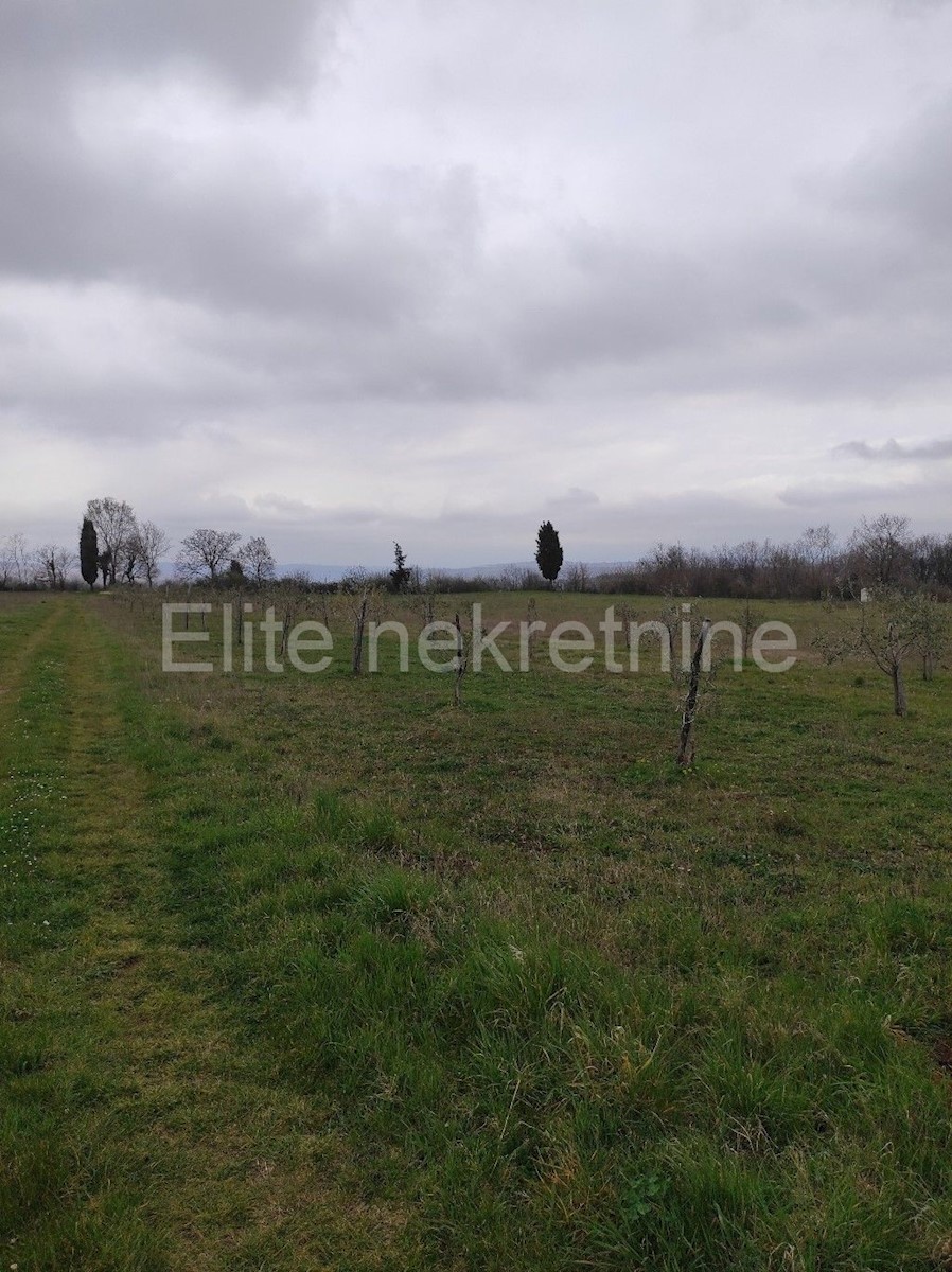 Terreno In vendita - ISTARSKA  BARBAN 