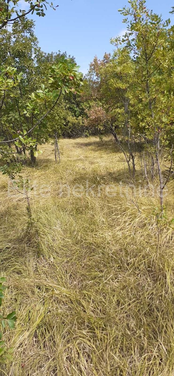 Land For sale - PRIMORSKO-GORANSKA  KOSTRENA 