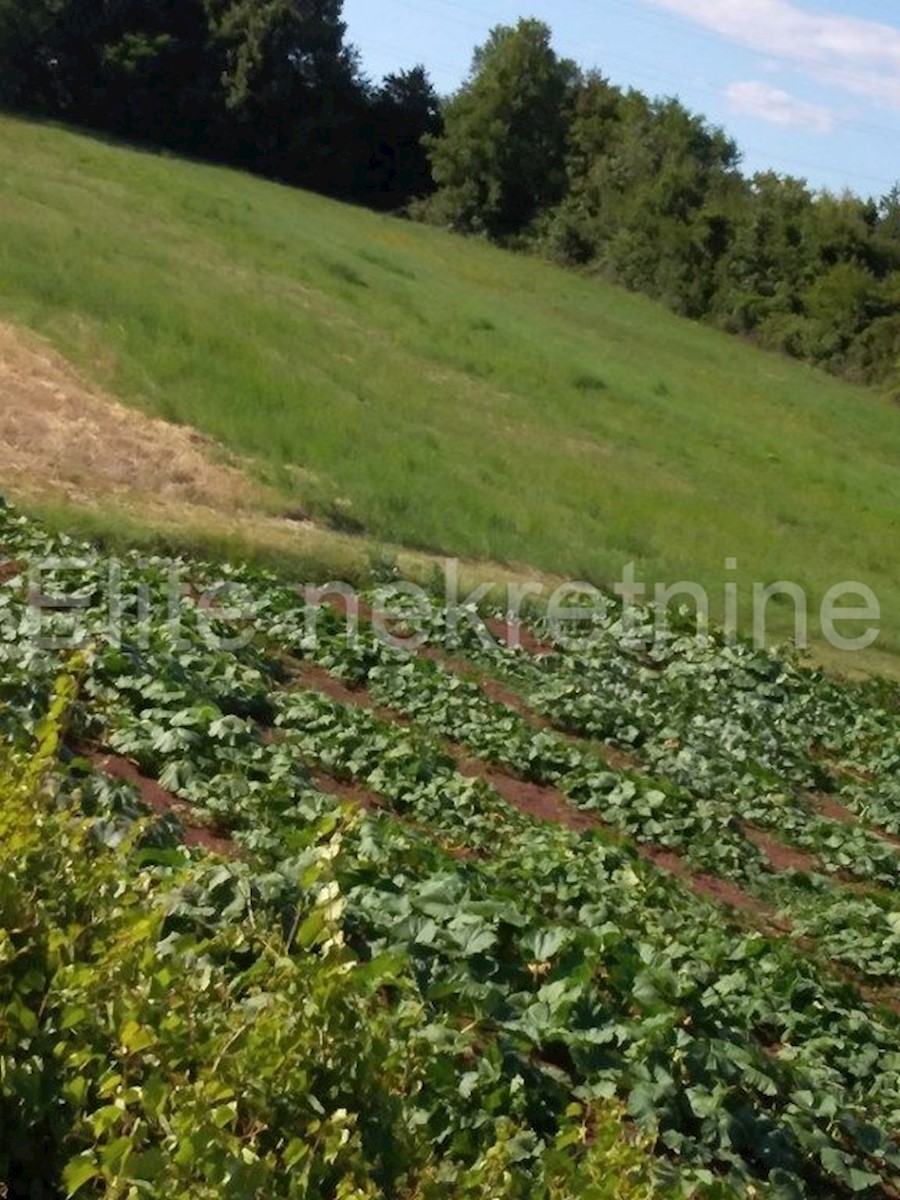 Terreno In vendita - ISTARSKA  BARBAN 