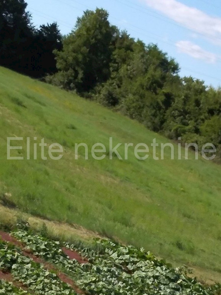 Terreno In vendita - ISTARSKA  BARBAN 