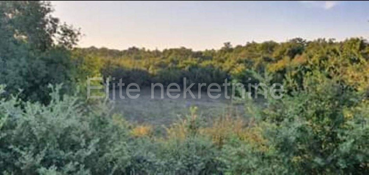 Land For sale - ISTARSKA  SVETVINČENAT 