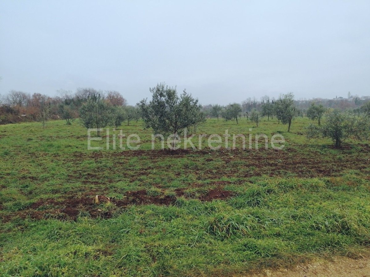 Land For sale - ISTARSKA  TAR-VABRIGA 