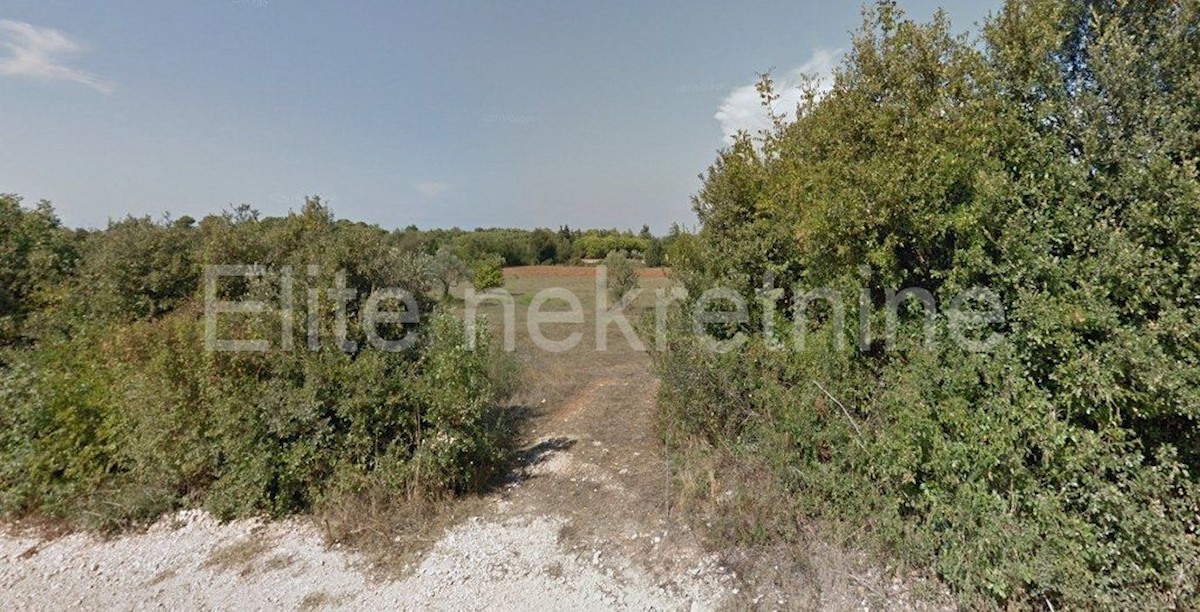 Land For sale - ISTARSKA  PULA 