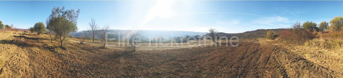 Land For sale - ISTARSKA  GROŽNJAN 