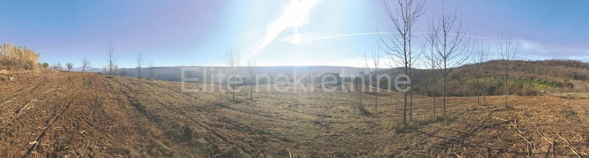 Land For sale - ISTARSKA  GROŽNJAN 