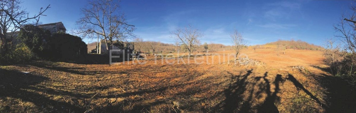 Land For sale - ISTARSKA  GROŽNJAN 