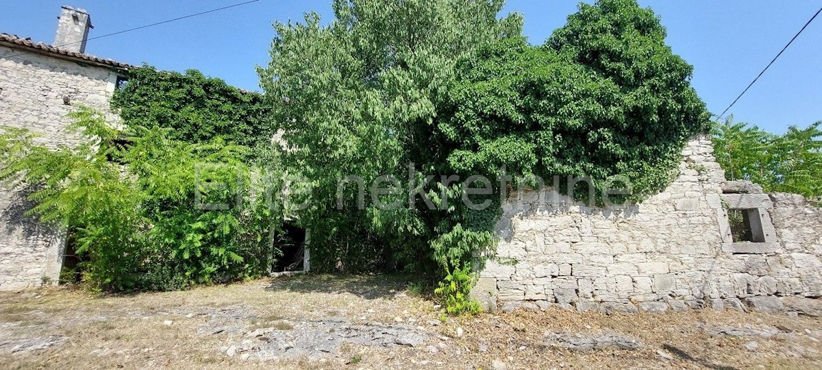 Land For sale - ISTARSKA  GROŽNJAN 