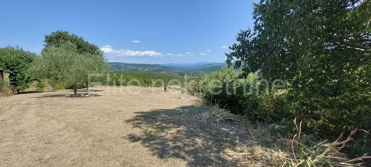 Land For sale - ISTARSKA  GROŽNJAN 