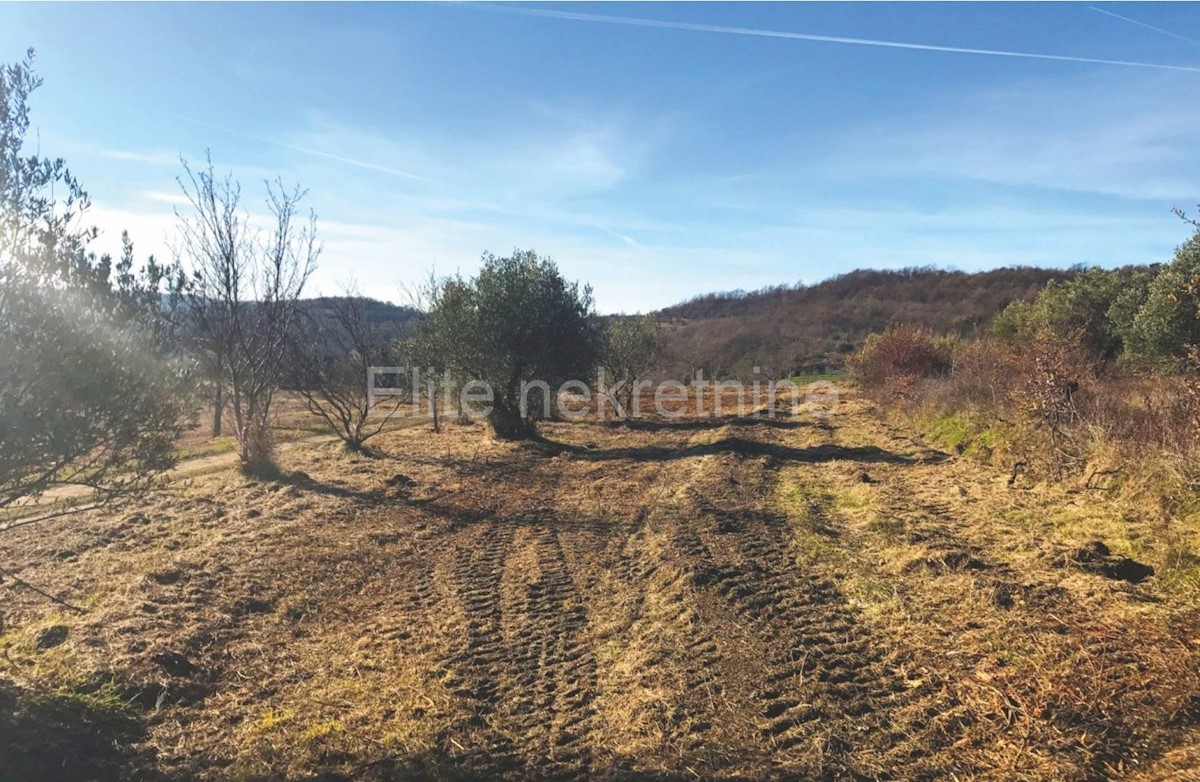 Land For sale - ISTARSKA  GROŽNJAN 