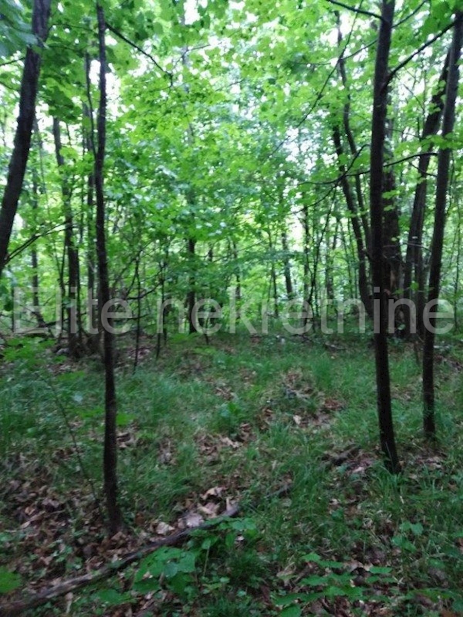 Land For sale - PRIMORSKO-GORANSKA  MATULJI 