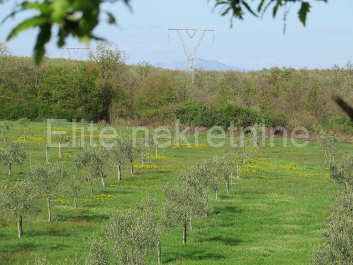 Pozemok Na predaj - ISTARSKA  MARČANA 