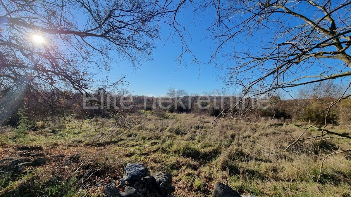 Land For sale - ISTARSKA  BALE 