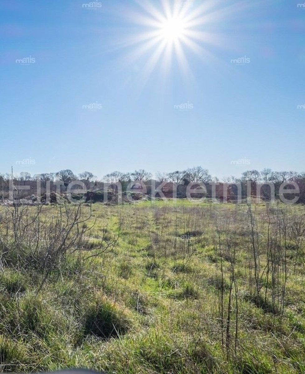 Land For sale - ISTARSKA  BALE 