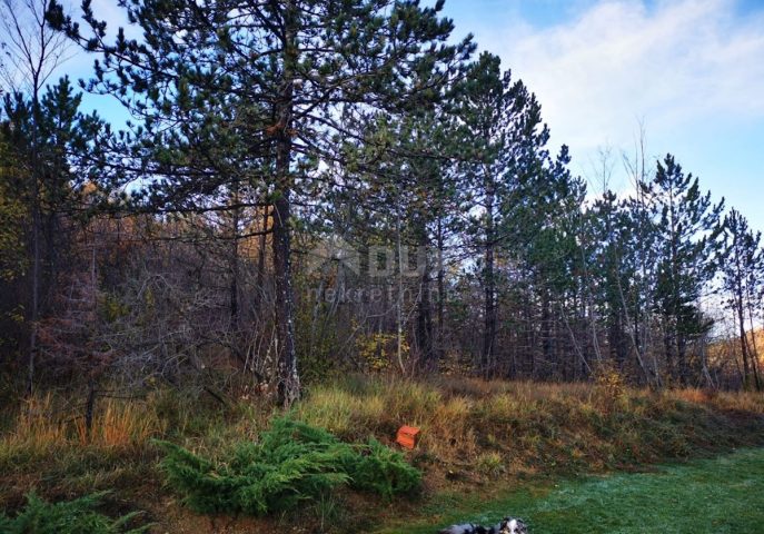Parcela na predaj 4834 m² – Paz