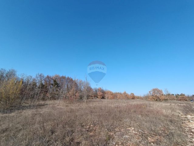Land for sale 6995 m² – Smoljanci
